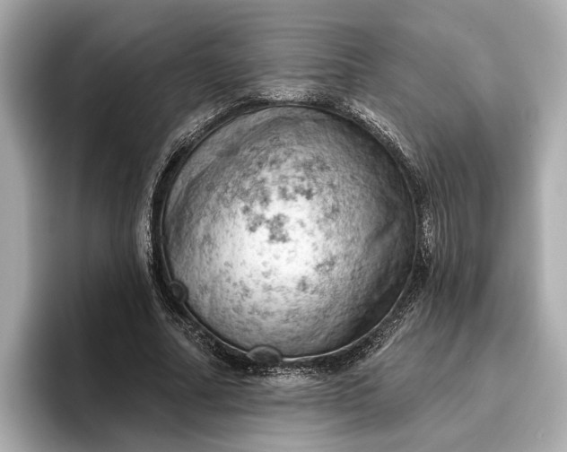 X0000096950682200802221322