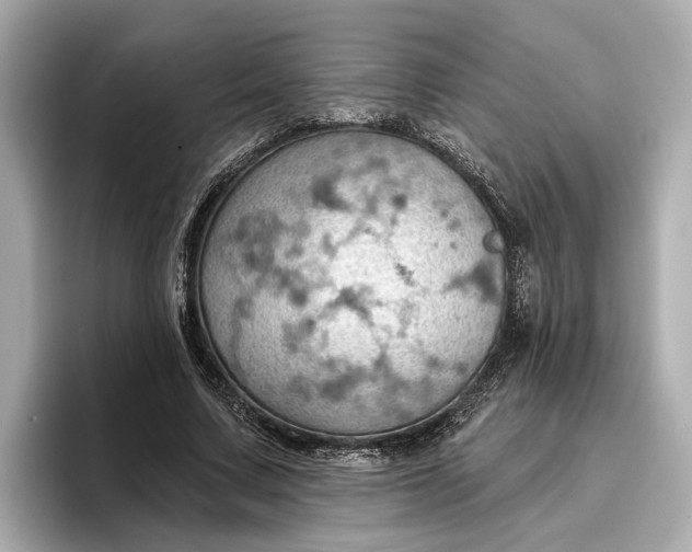 X0000096950683200802221322