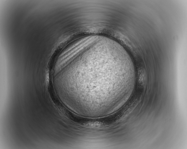 X0000096950685200802221322