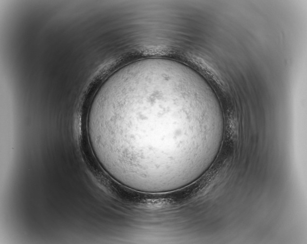 X0000096950686200802221322