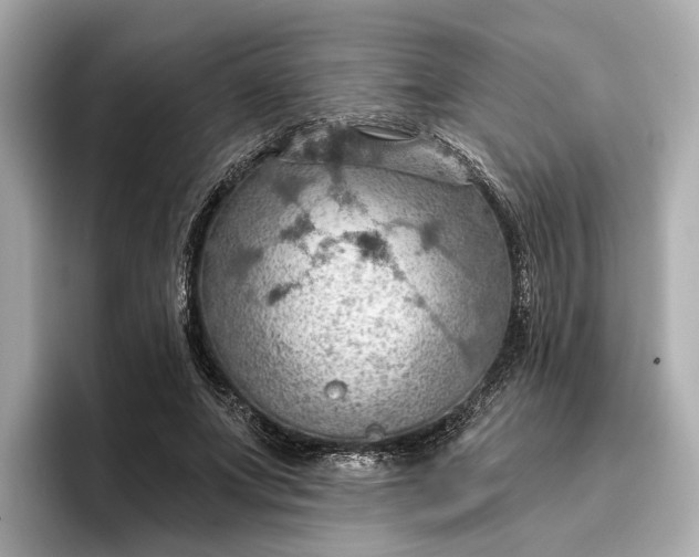 X0000096950687200802221322
