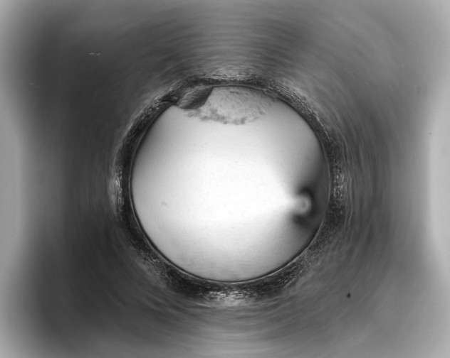 X0000096950688200802221322