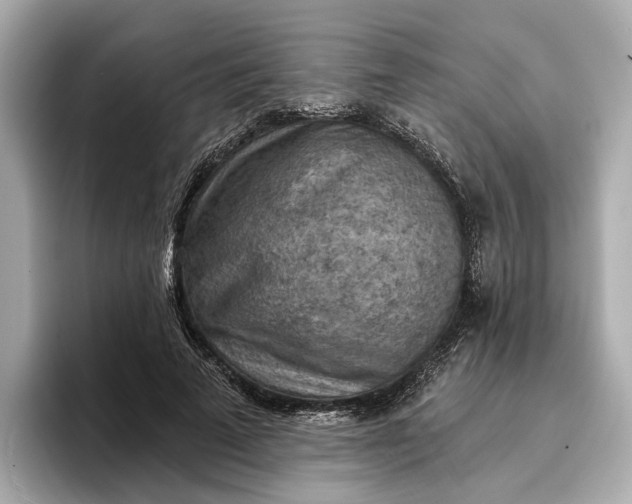X0000096950689200802221322