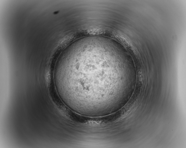 X0000096950690200802221322