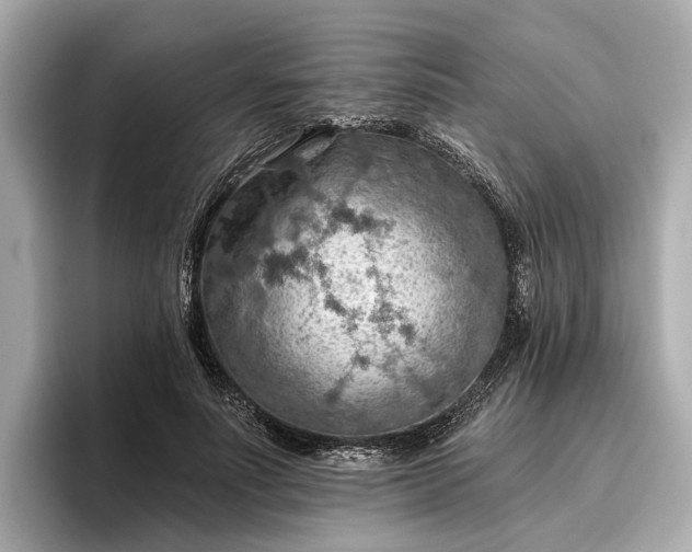 X0000096950691200802221322