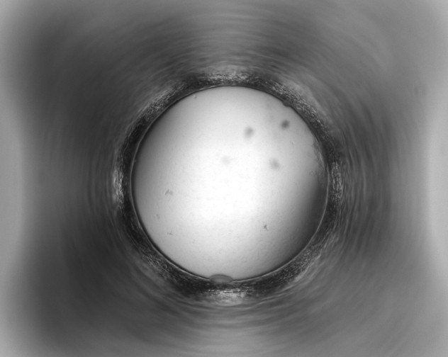 X0000096950692200802221322