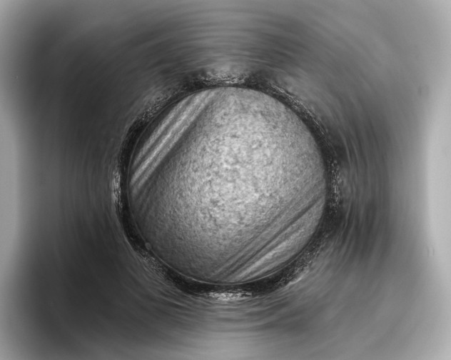 X0000096950693200802221322
