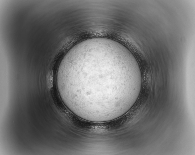 X0000096950694200802221322