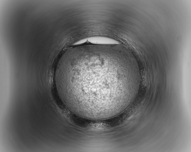 X0000096950695200802221322