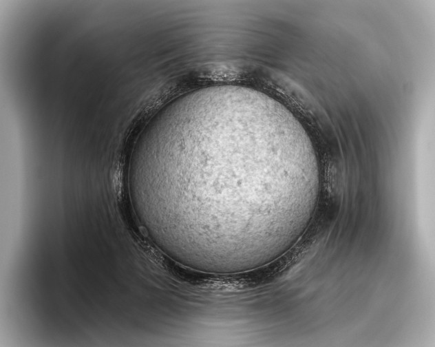 X0000096950697200802221322