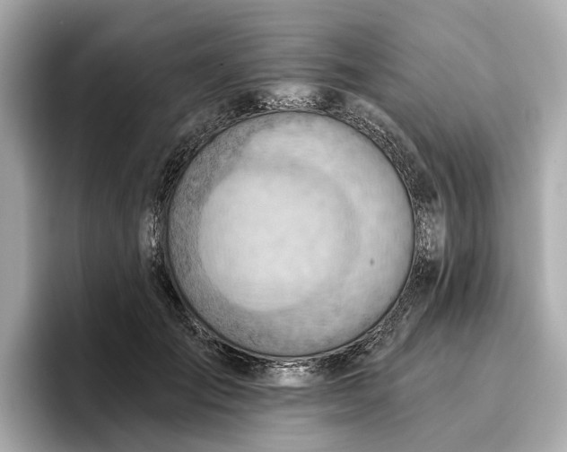 X0000096950701200802221322