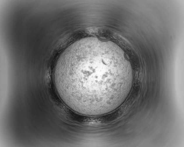 X0000096950702200802221322