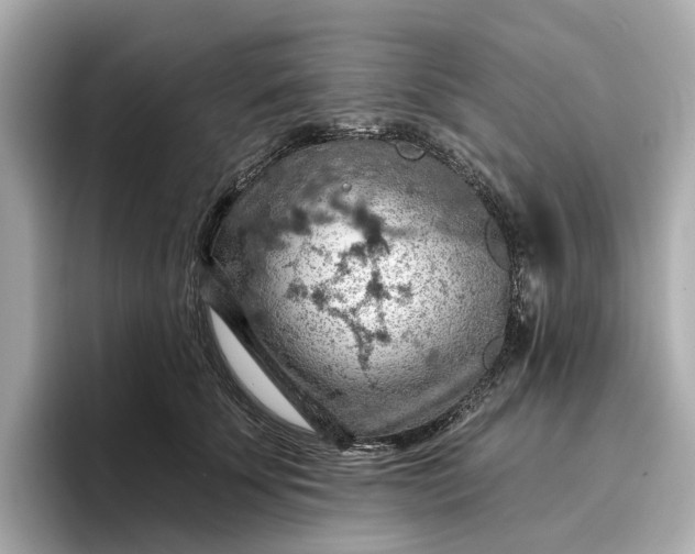 X0000096950707200802221322