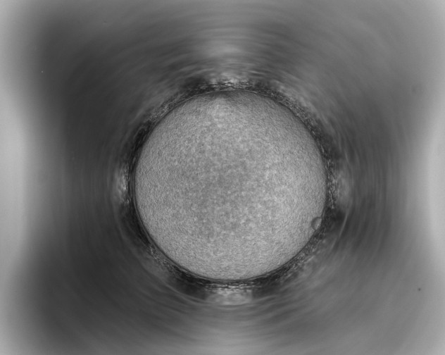 X0000096950709200802221322