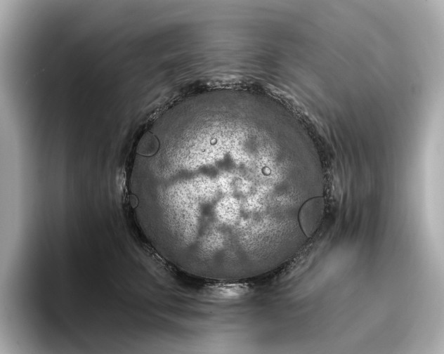 X0000096950711200802221322