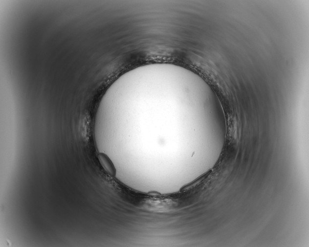 X0000096950712200802221322
