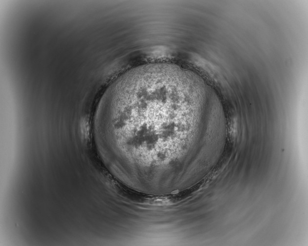 X0000096950715200802221322