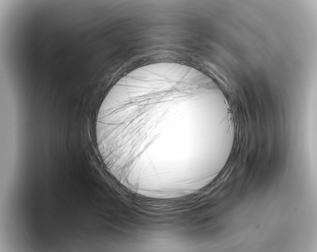 X0000096950717200802221322