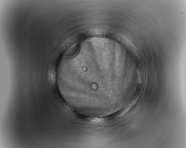 X0000096950718200802221322