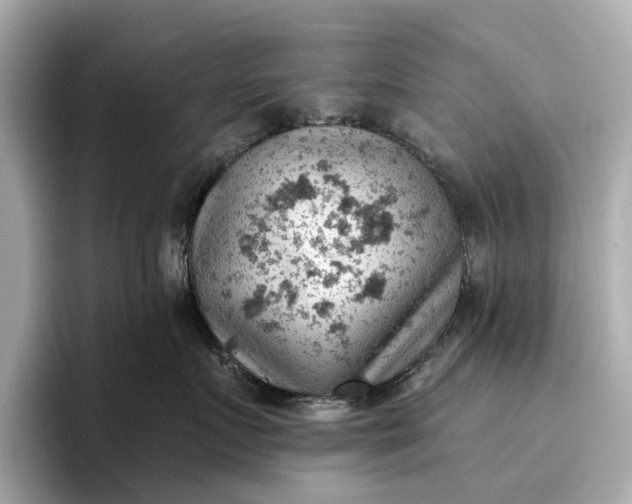 X0000096950719200802221322