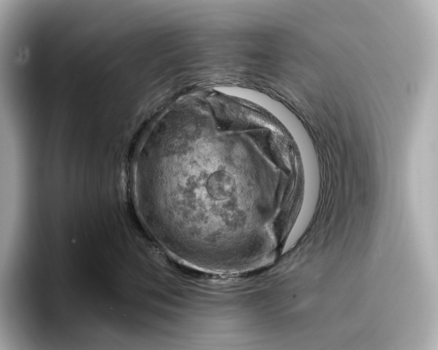 X0000096950720200802221322