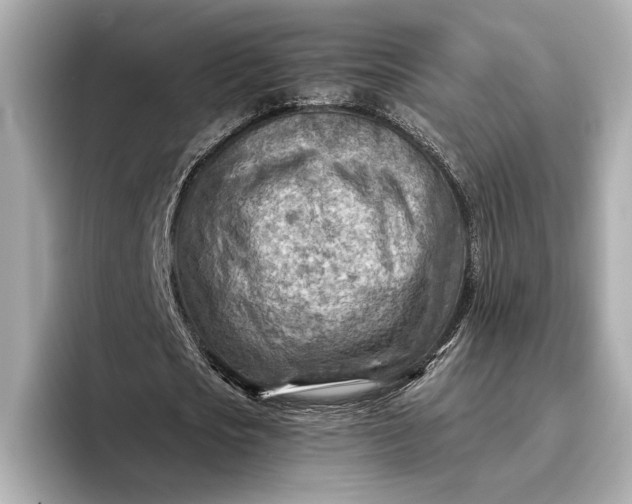 X0000096950721200802221321