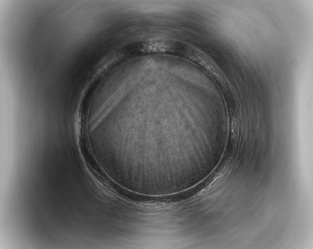 X0000096950722200802221321
