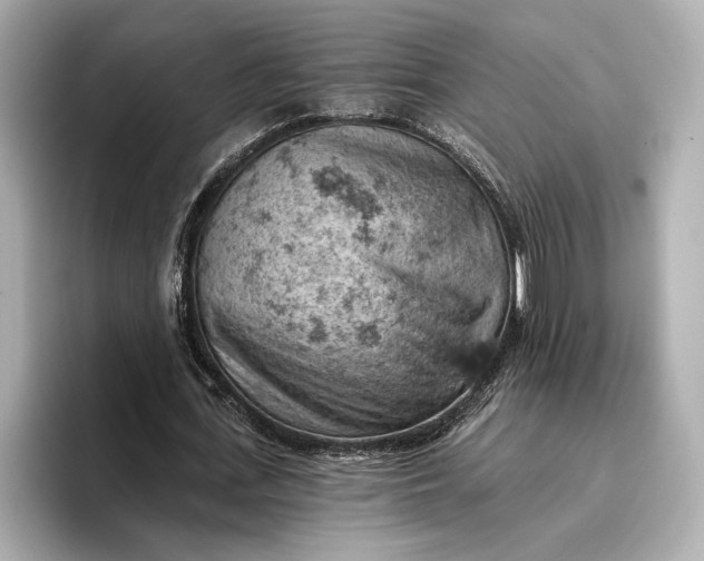 X0000096950723200802221321