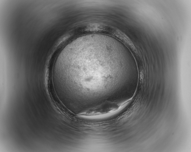 X0000096950724200802221321