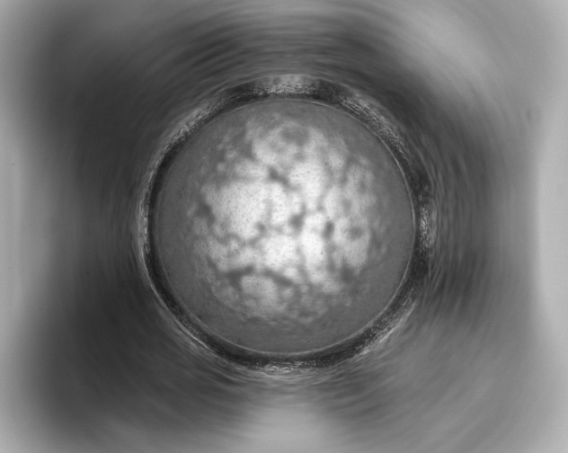 X0000096950725200802221321