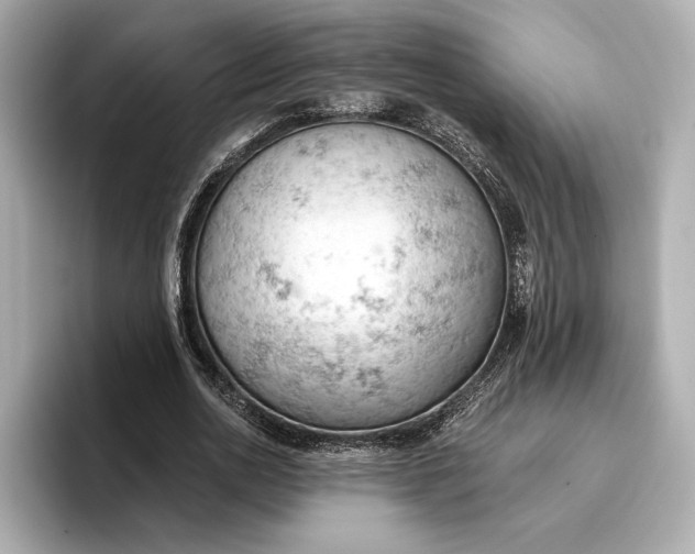 X0000096950726200802221321