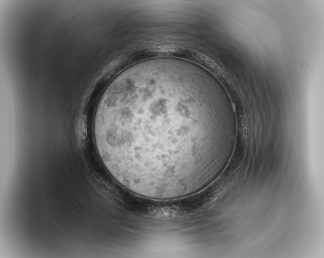 X0000096950731200802221321