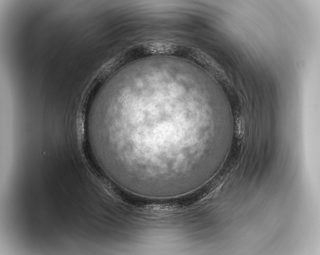 X0000096950733200802221321
