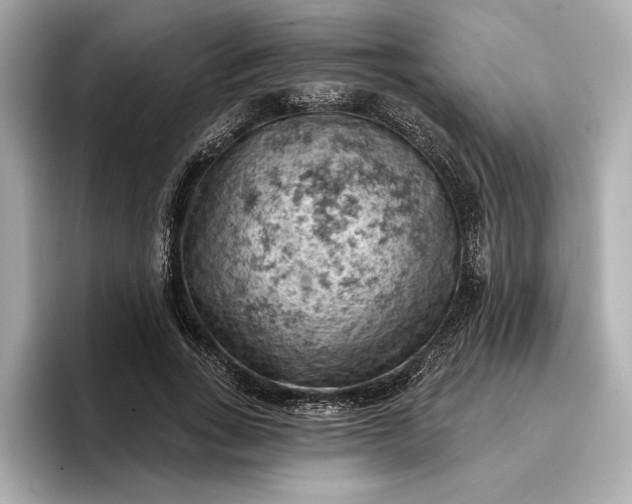 X0000096950735200802221321