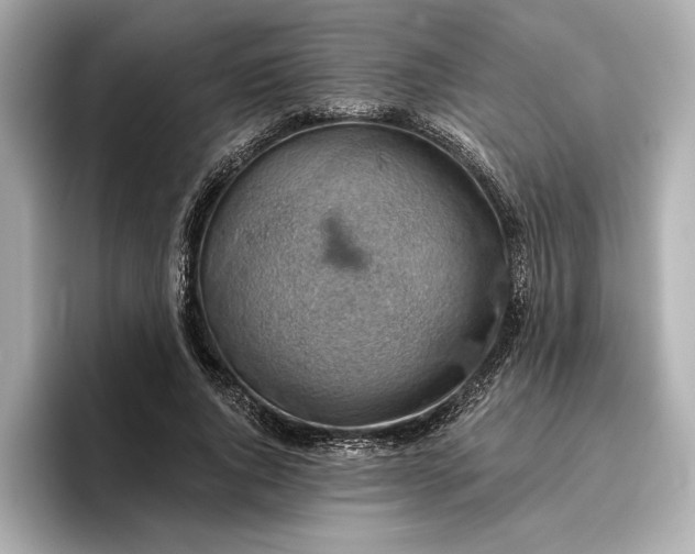 X0000096950736200802221322