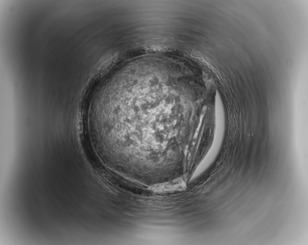 X0000096950738200802221322