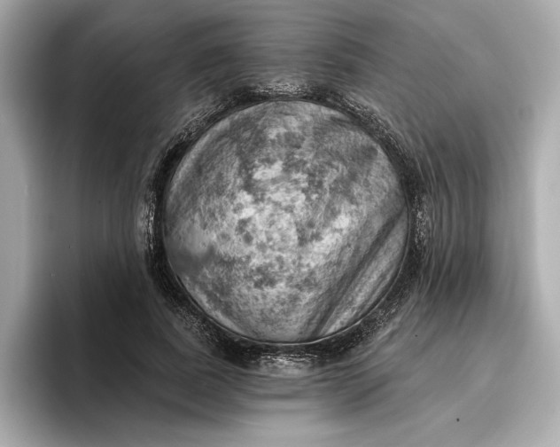 X0000096950739200802221322