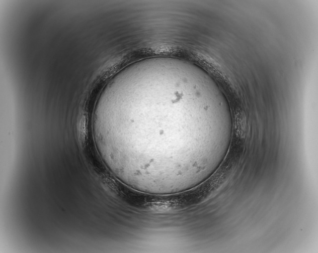 X0000096950740200802221322