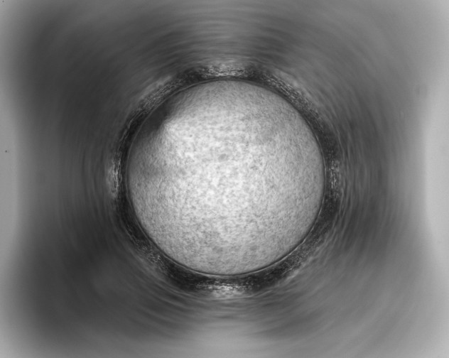 X0000096950741200802221322