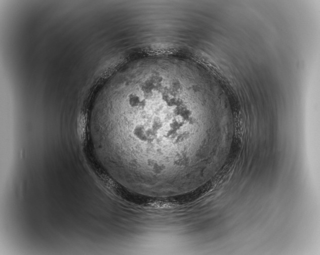 X0000096950742200802221322
