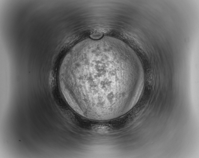 X0000096950743200802221322