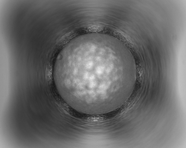 X0000096950745200802221322