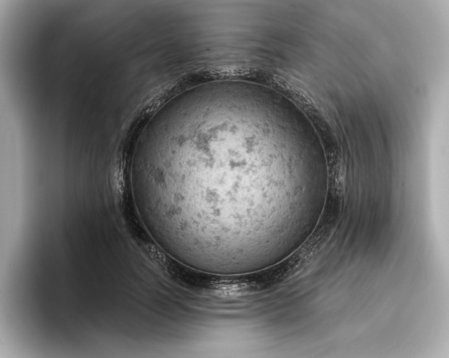 X0000096950746200802221322