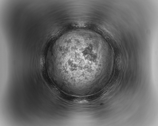 X0000096950747200802221322