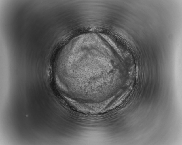 X0000096950748200802221322