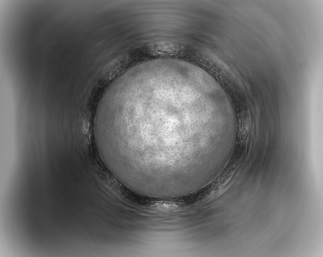 X0000096950749200802221322