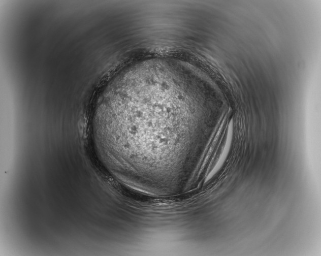 X0000096950750200802221322