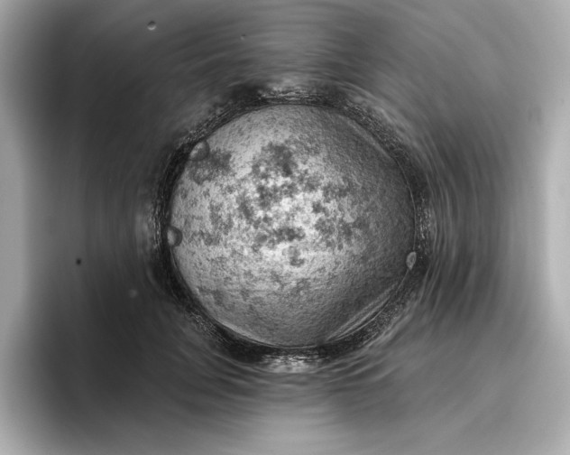 X0000096950751200802221322