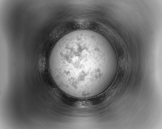 X0000096950752200802221322