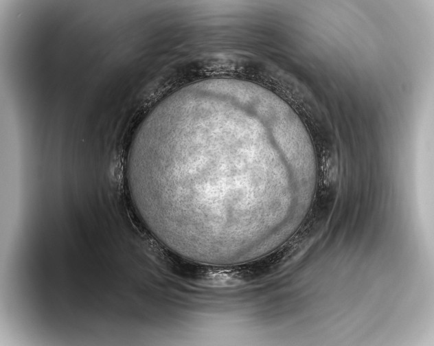 X0000096950753200802221322